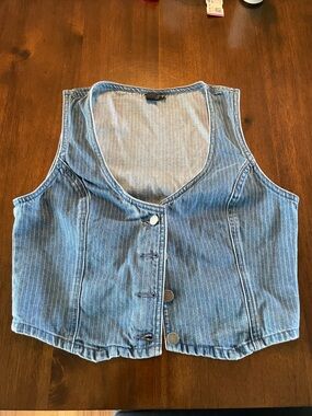 Volcom Blue Striped Sleeveless Western-style Vest Sz M Button Front Belted Back